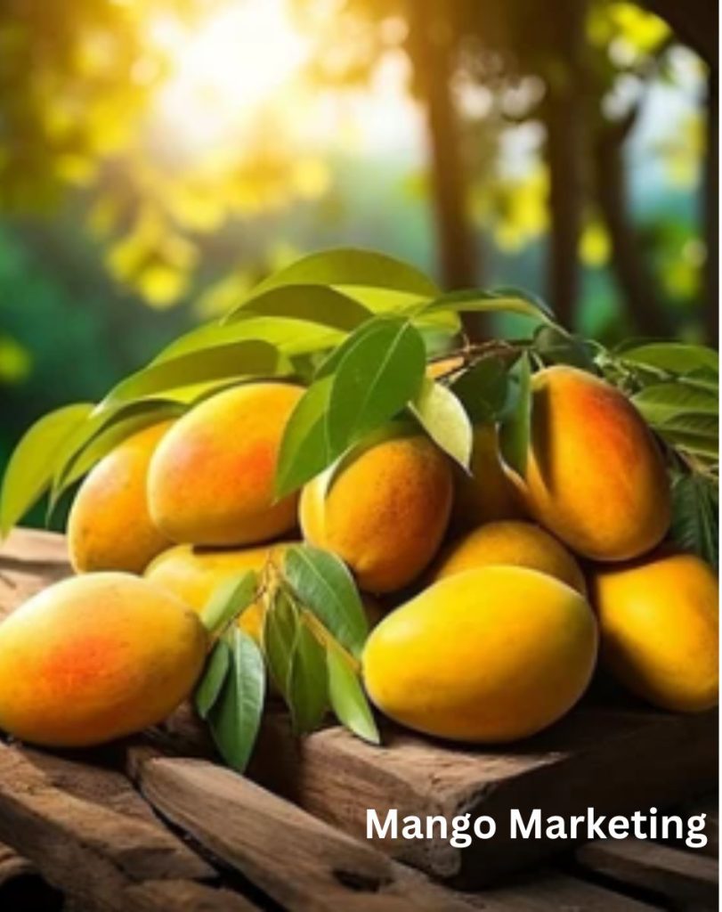 Fresh and Sweet: Mango Marketing