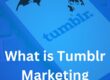 what is tumblr marketing